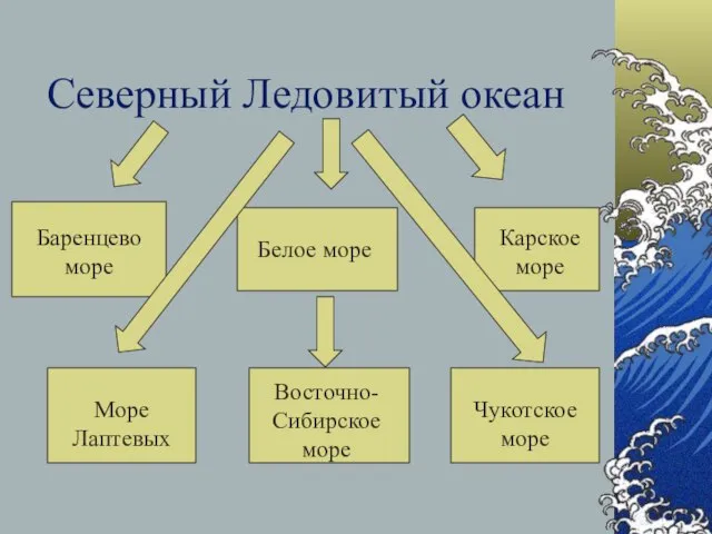 Северный Ледовитый океан Баренцево море Белое море Карское море Море Лаптевых Восточно-Сибирское море Чукотское море