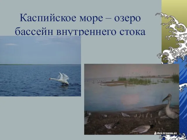 Каспийское море – озеро бассейн внутреннего стока