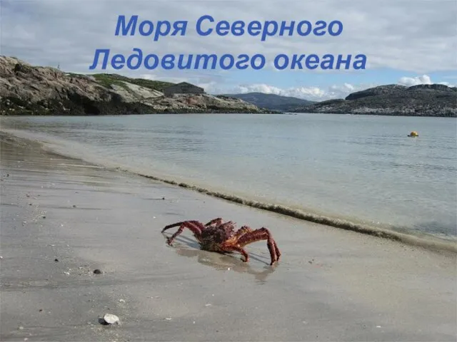 Моря Северного Ледовитого океана