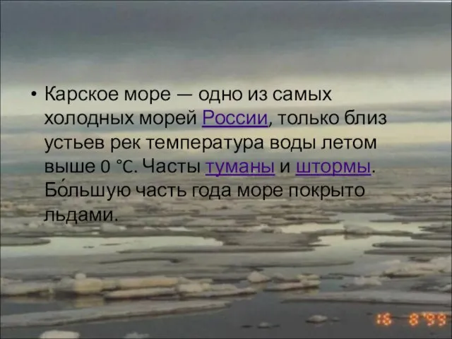 Карское море — одно из самых холодных морей России, только близ устьев
