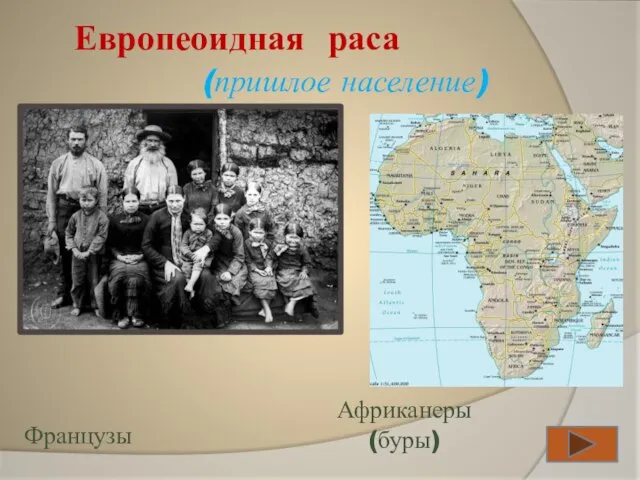 Европеоидная раса (пришлое население) Французы Африканеры (буры)