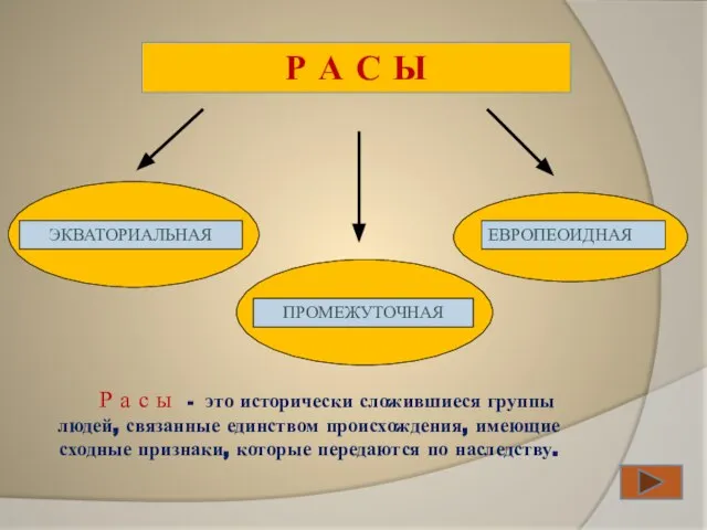 Р а с ы - это исторически сложившиеся группы людей, связанные единством