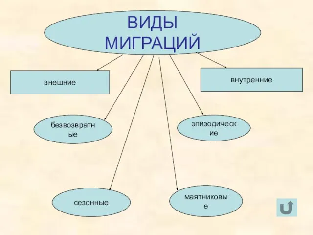 Виды миграций ВИДЫ МИГРАЦИЙ внешние внутренние безвозвратные сезонные эпизодические маятниковые