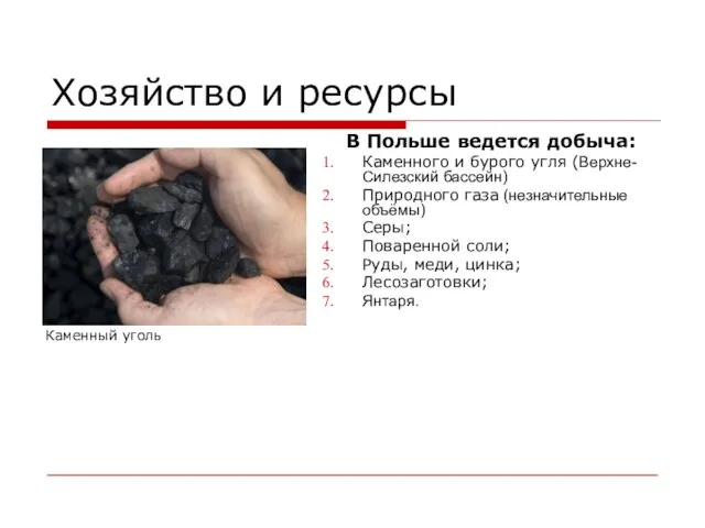 Хозяйство и ресурсы В Польше ведется добыча: Каменного и бурого угля (Верхне-Силезский