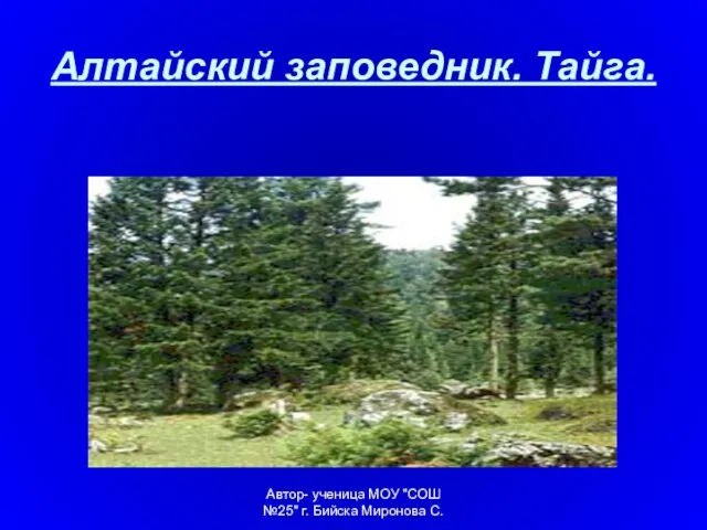 Автор- ученица МОУ "СОШ №25" г. Бийска Миронова С. Алтайский заповедник. Тайга.