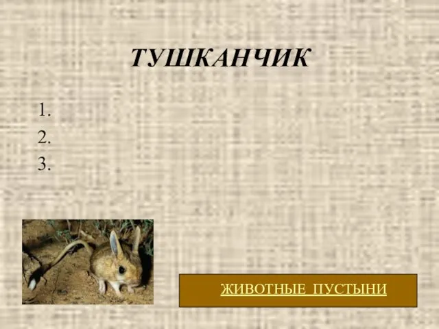 ТУШКАНЧИК 1. 2. 3.