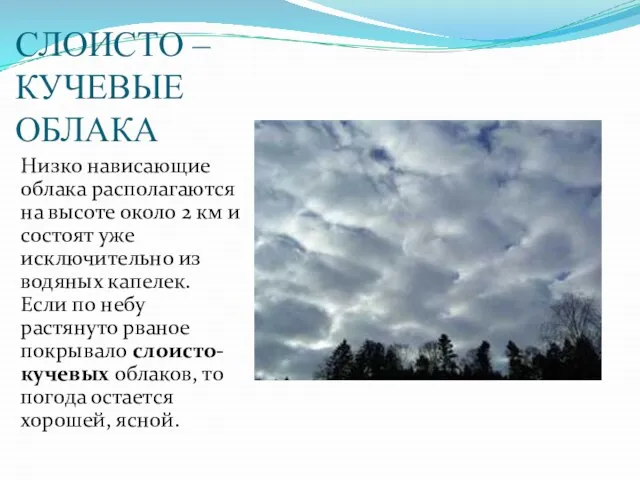 СЛОИСТО – КУЧЕВЫЕ ОБЛАКА Низко нависающие облака располагаются на высоте около 2