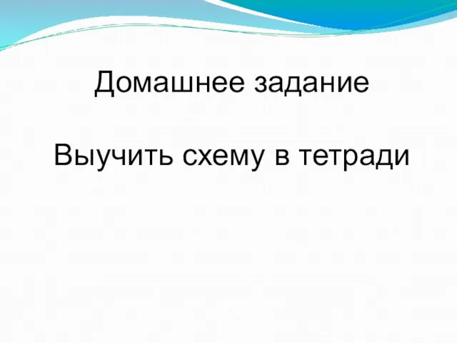 Домашнее задание Выучить схему в тетради