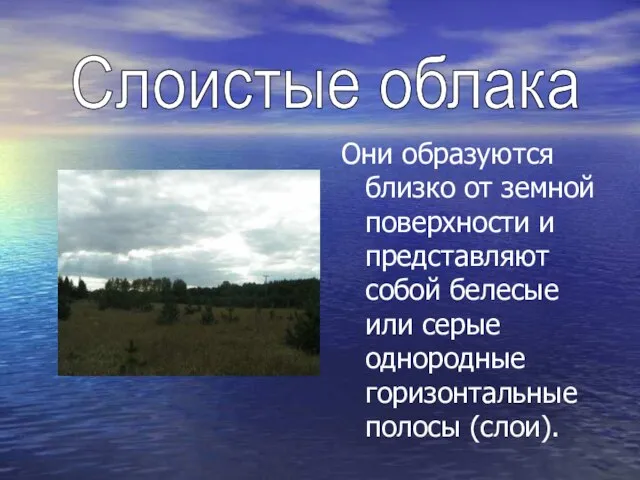 Они образуются близко от земной поверхности и представляют собой белесые или серые