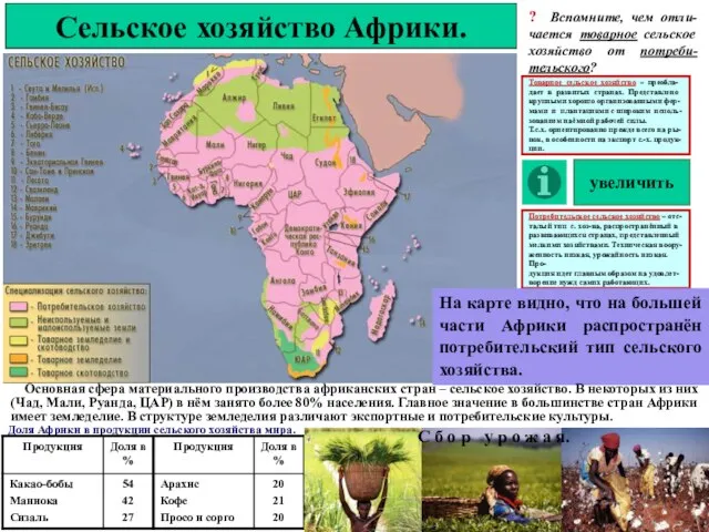 Сельское хозяйство Африки. ? Вспомните, чем отли-чается товарное сельское хозяйство от потреби-тельского?
