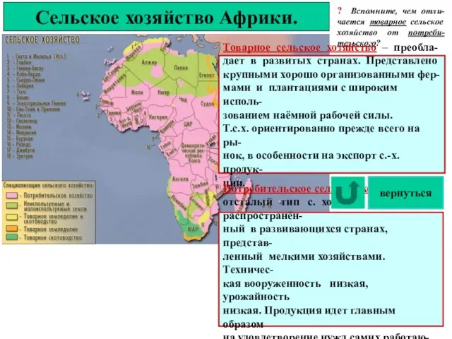 Сельское хозяйство Африки. ? Вспомните, чем отли-чается товарное сельское хозяйство от потреби-тельского?