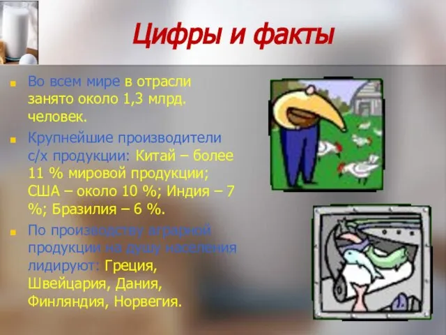 Цифры и факты Во всем мире в отрасли занято около 1,3 млрд.