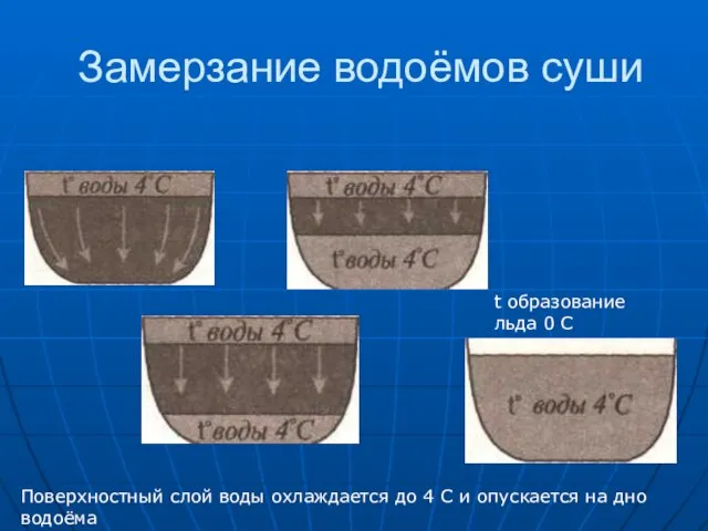 Замерзание водоёмов суши t образование льда 0 С Поверхностный слой воды охлаждается