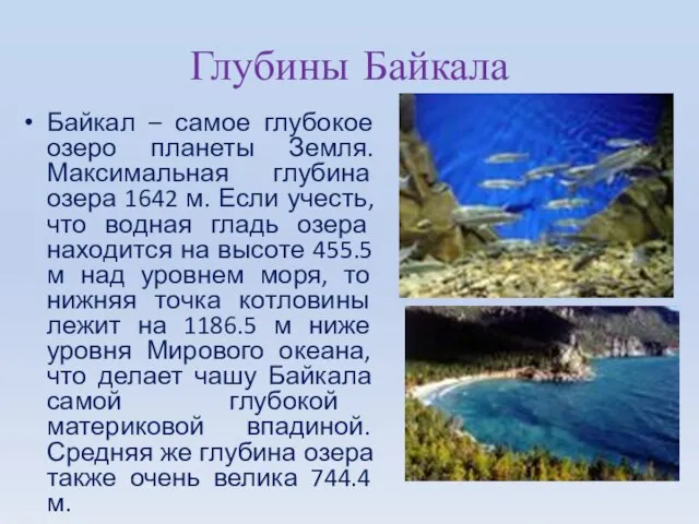 Глубины Байкала Байкал – самое глубокое озеро планеты Земля. Максимальная глубина озера