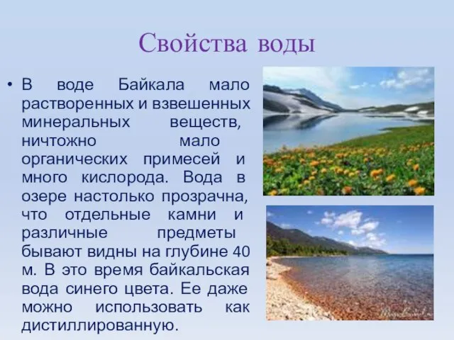 Свойства воды В воде Байкала мало растворенных и взвешенных минеральных веществ, ничтожно