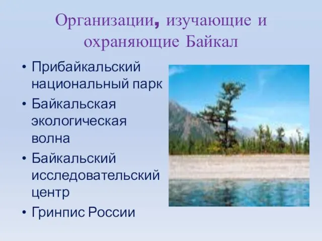 Организации, изучающие и охраняющие Байкал Прибайкальский национальный парк Байкальская экологическая волна Байкальский исследовательский центр Гринпис России