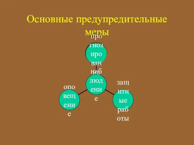 Основные предупредительные меры