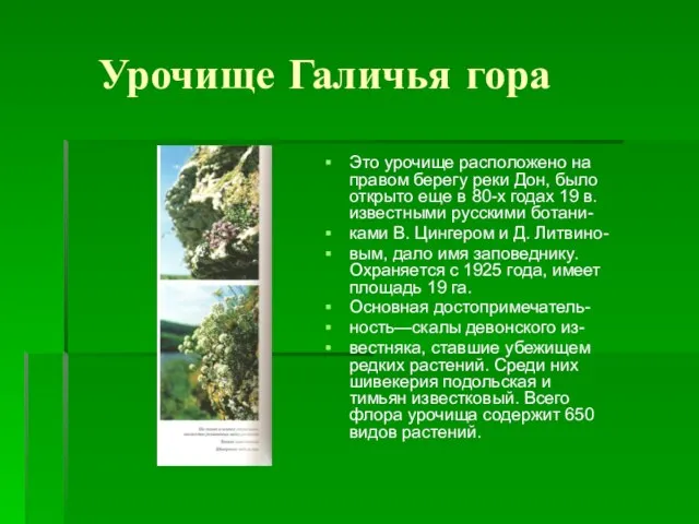 Урочище Галичья гора Это урочище расположено на правом берегу реки Дон, было