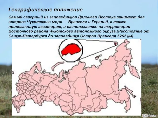 Географическое положение Самый северный из заповедников Дальнего Востока занимает два острова Чукотского