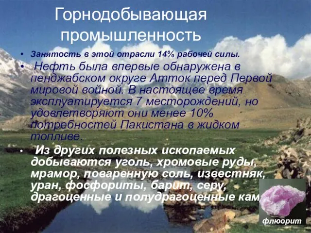 Горнодобывающая промышленность Занятость в этой отрасли 14% рабочей силы. Нефть была впервые