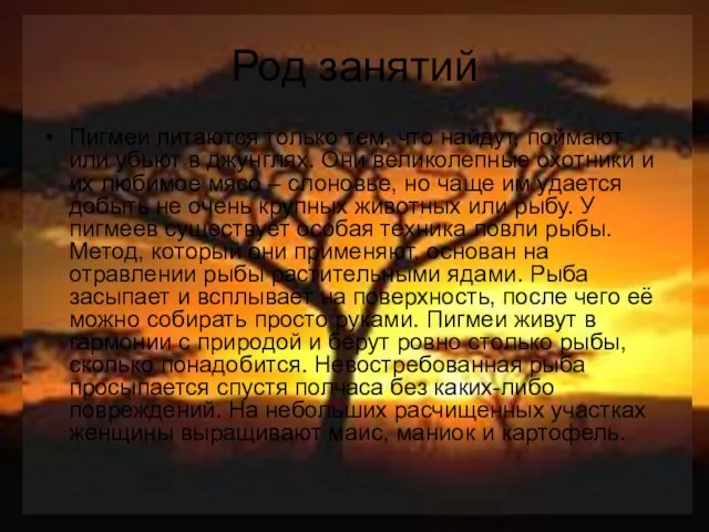 Род занятий Пигмеи питаются только тем, что найдут, поймают или убьют в