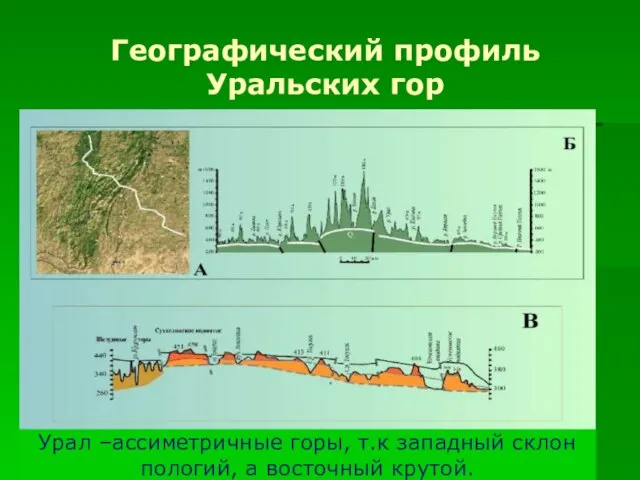 Географический профиль Уральских гор Урал –ассиметричные горы, т.к западный склон пологий, а восточный крутой.