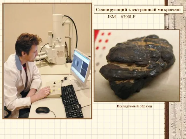 Сканирующий электронный микроскоп JSM – 6390LF Исследуемый образец