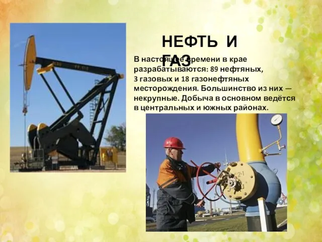 НЕФТЬ И ГАЗ В настоящее времени в крае разрабатываются: 89 нефтяных, 3
