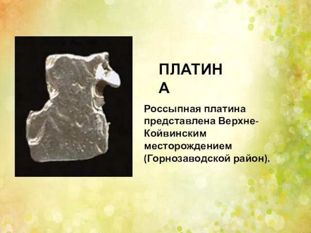 Россыпная платина представлена Верхне-Койвинским месторождением (Горнозаводской район). ПЛАТИНА