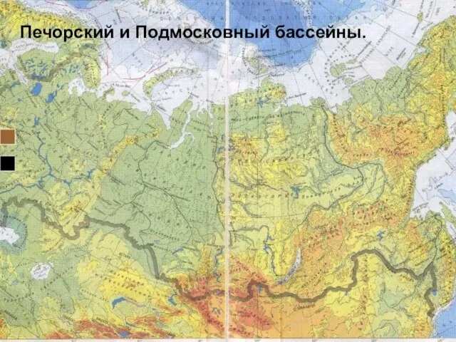 Печорский и Подмосковный бассейны.