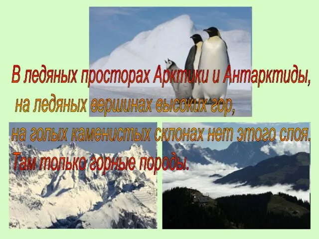 В ледяных просторах Арктики и Антарктиды, на ледяных вершинах высоких гор, на