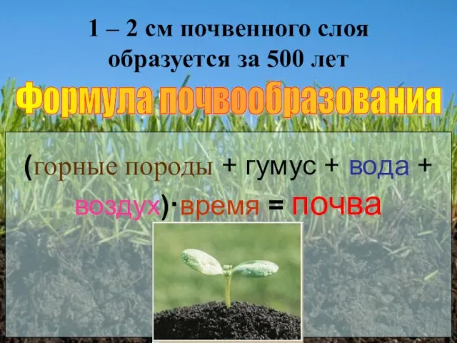 1 – 2 см почвенного слоя образуется за 500 лет Формула почвообразования