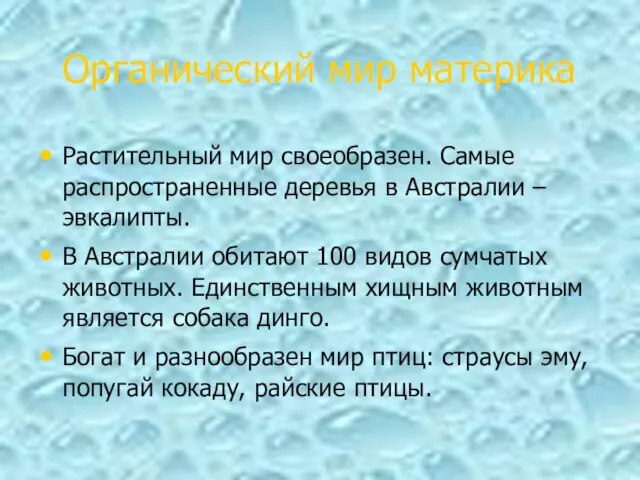 Органический мир материка Растительный мир своеобразен. Самые распространенные деревья в Австралии –