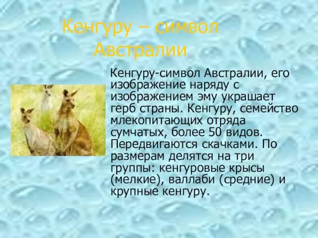 Кенгуру-символ Австралии, его изображение наряду с изображением эму украшает герб страны. Кенгуру,