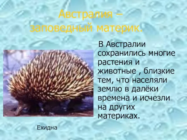 В Австралии сохранились многие растения и животные , близкие тем, что населяли