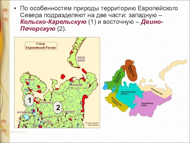 По особенностям природы территорию Европейского Севера подразделяют на две части: западную –