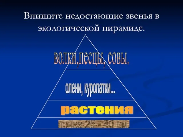 Впишите недостающие звенья в экологической пирамиде. почва 25 - 40 см. растения олени, куропатки... волки,песцы, совы.