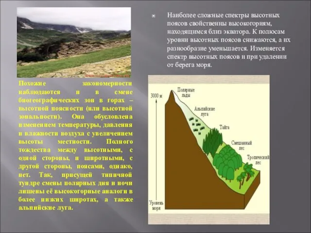 Похожие закономерности наблюдаются и в смене биогеографических зон в горах – высотной