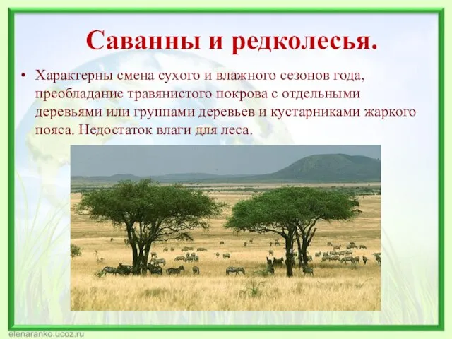 Саванны и редколесья. Характерны смена сухого и влажного сезонов года, преобладание травянистого