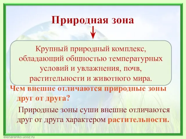 Природная зона Чем внешне отличаются природные зоны друг от друга? Природные зоны