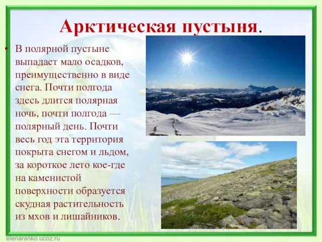 Арктическая пустыня. В полярной пустыне выпадает мало осадков, преимущественно в виде снега.