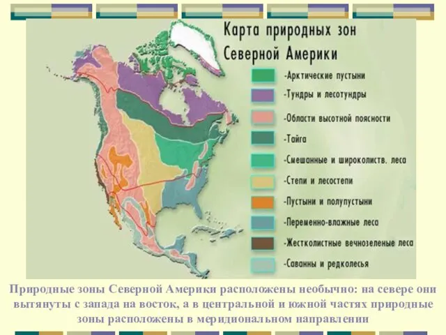 Природные зоны Северной Америки расположены необычно: на севере они вытянуты с запада