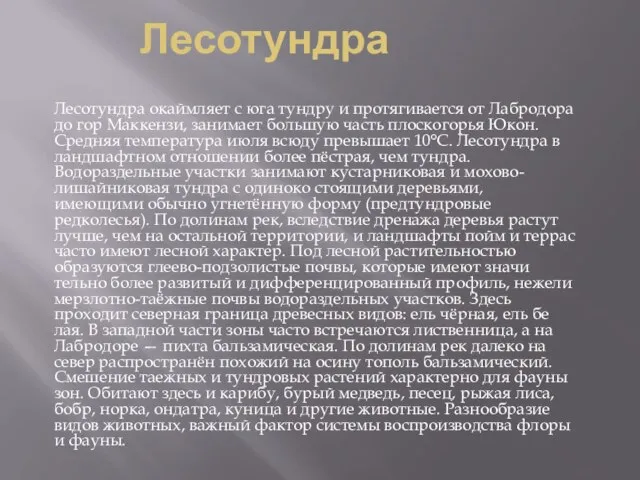 Лесотундра Лесотундра окаймляет с юга тундру и протягивается от Лабродора до гор