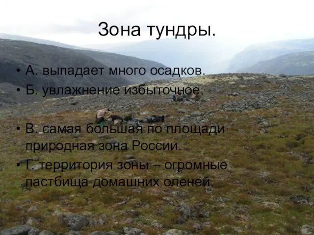 Зона тундры. А. выпадает много осадков. Б. увлажнение избыточное. В. самая большая