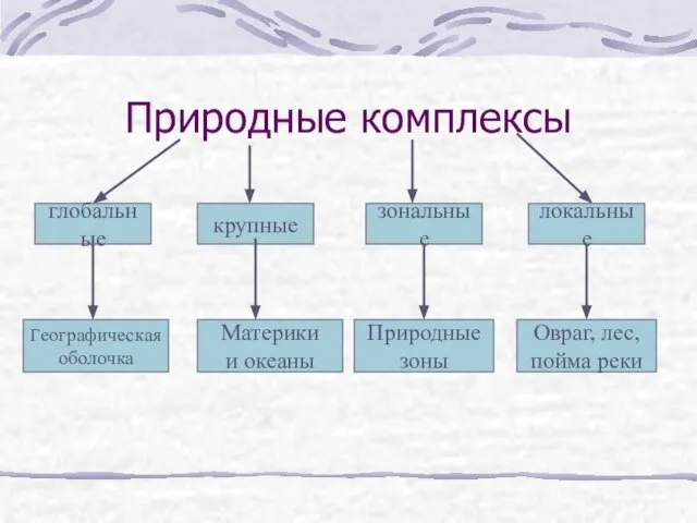 Природные комплексы глобальные крупные зональные локальные Географическая оболочка Материки и океаны Природные