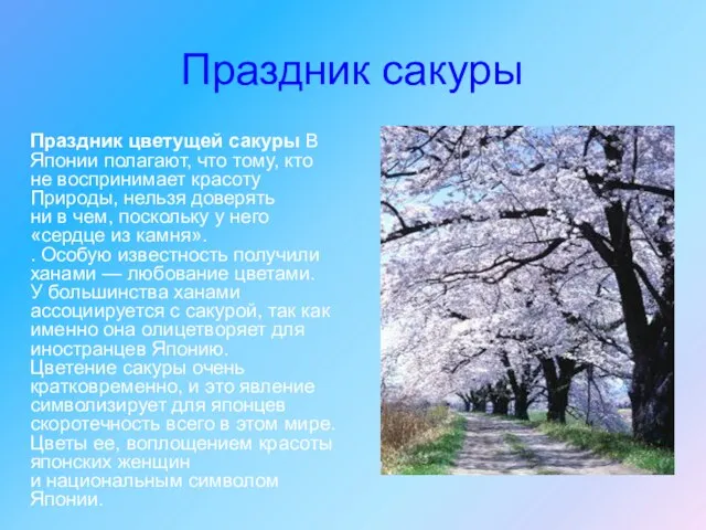 Праздник сакуры Праздник цветущей сакуры В Японии полагают, что тому, кто не