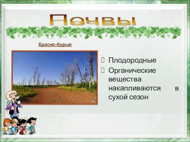 Плодородные Органические вещества накапливаются в сухой сезон Почвы Красно-бурые