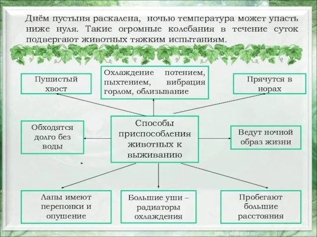 Днём пустыня раскалена, ночью температура может упасть ниже нуля. Такие огромные колебания