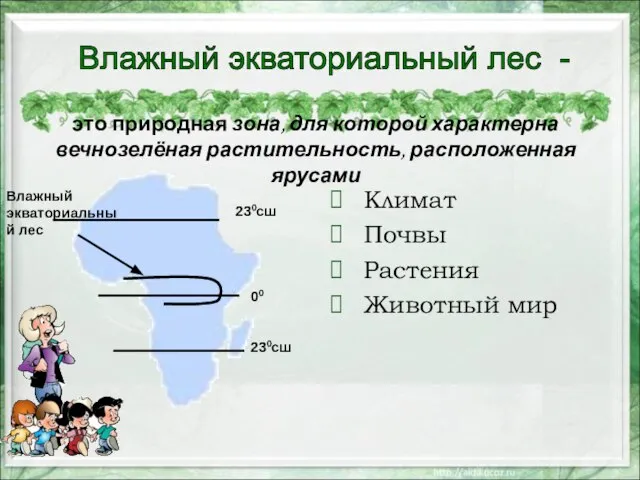 это природная зона, для которой характерна вечнозелёная растительность, расположенная ярусами Климат Почвы