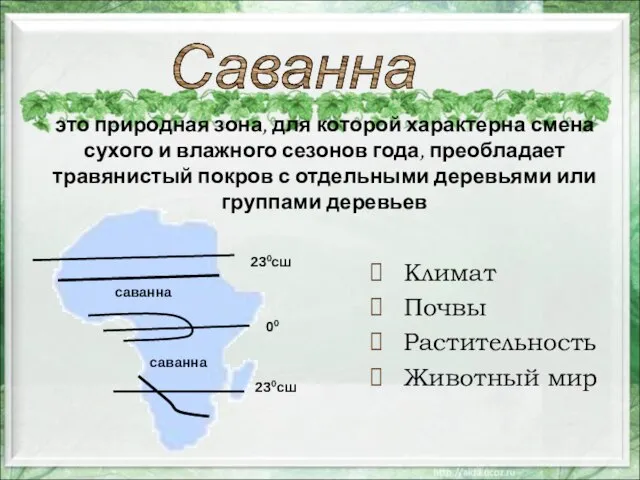 это природная зона, для которой характерна смена сухого и влажного сезонов года,